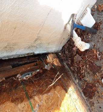 dry rot example one