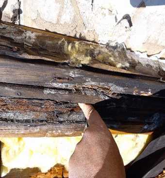 dry rot example four