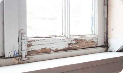 Dry rot in window